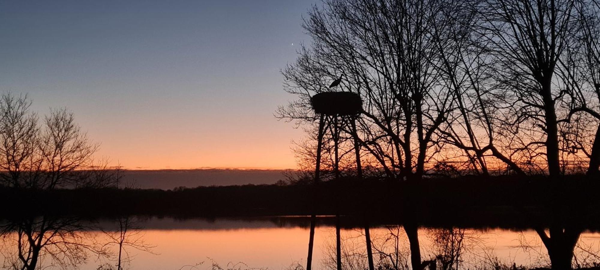 Domaine Castetbieilh Bed & Breakfast Tercis-les-Bains Eksteriør bilde